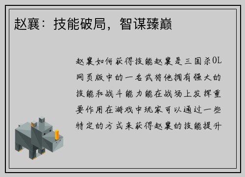 赵襄：技能破局，智谋臻巅