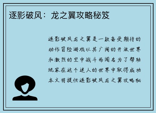 逐影破风：龙之翼攻略秘笈